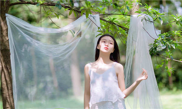 石家庄借卵试管代怀生子公司：助您实现美好家庭梦想